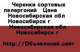 Черенки сортовых пеларгоний › Цена ­ 100 - Новосибирская обл., Новосибирск г.  »    . Новосибирская обл.,Новосибирск г.